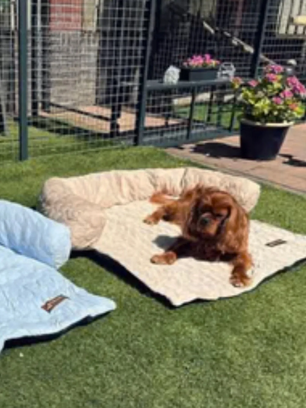 Pelsbarn Cooling Mat Dogs and Cats